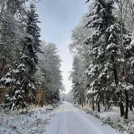 Le Domaine Du Bodseu *
