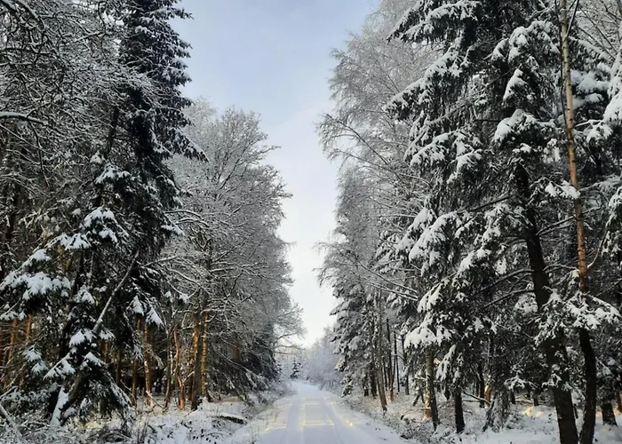 Le Domaine Du Bodseu *