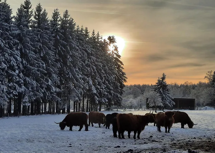 Parque de Campismo Le Domaine Du Bodseu